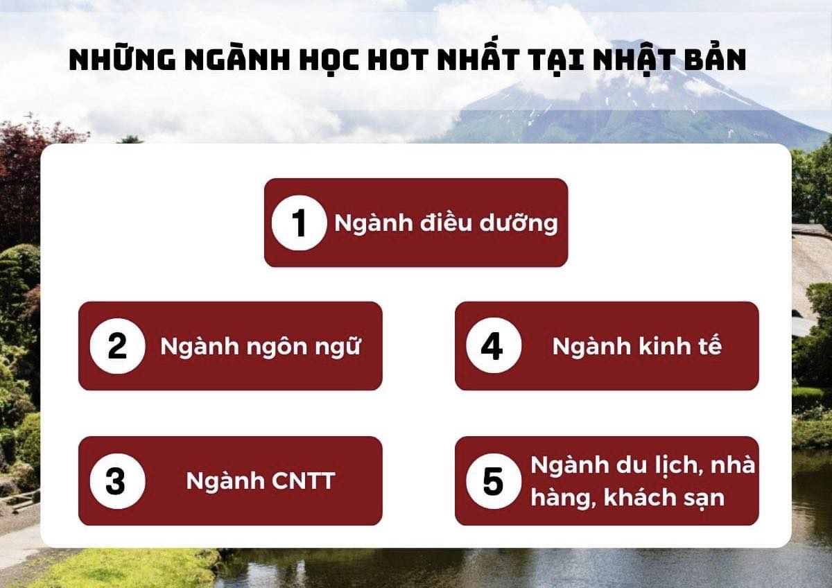 Top 5 ngành học hot nhất Nhật Bản